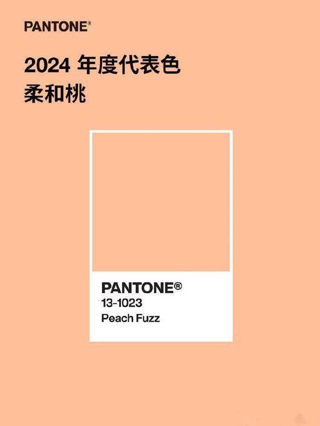 EMC全站网页2024年室内装饰新风尚：威泽装饰探索色彩的温柔边界(图1)