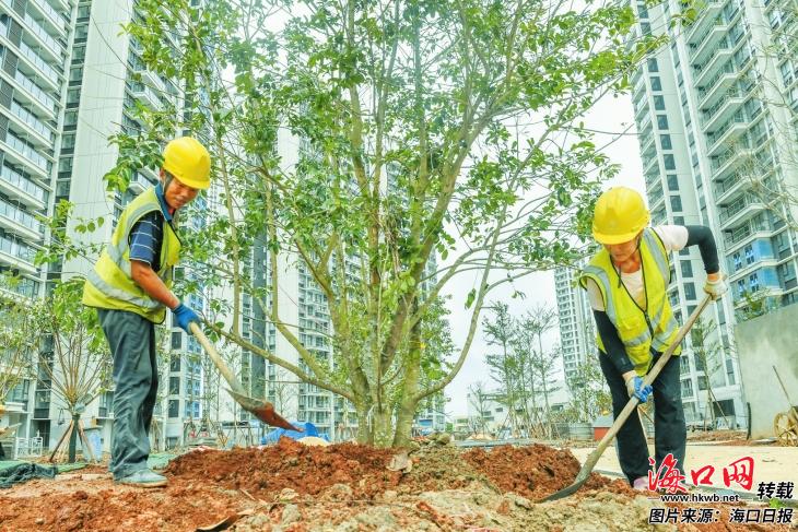 EMC全站网页椰青园S01地块项目“增植添绿”中 建成后将为回迁居民提供1250