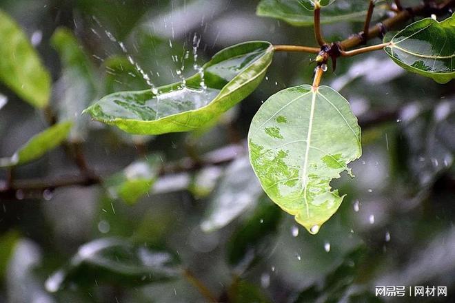 EMC全站网页梅雨季还能装修房子吗？3个方法减少梅雨影响别白做无用功(图4)